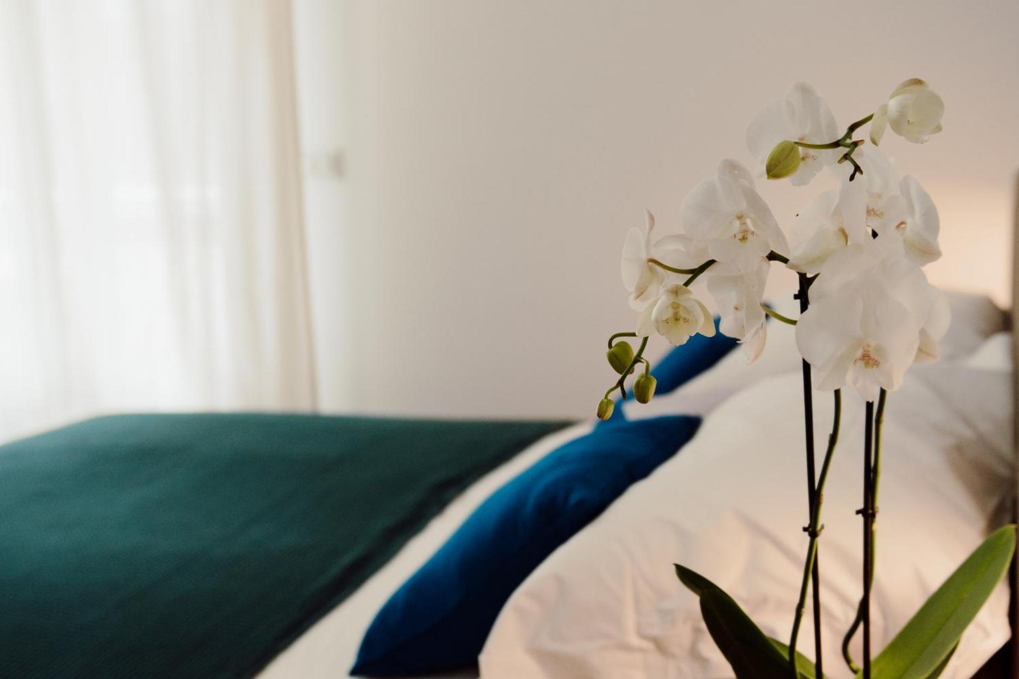 Sweet Dreams Hotel Civitavecchia Kültér fotó
